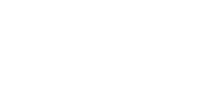 VT1 Martial Arts Logo