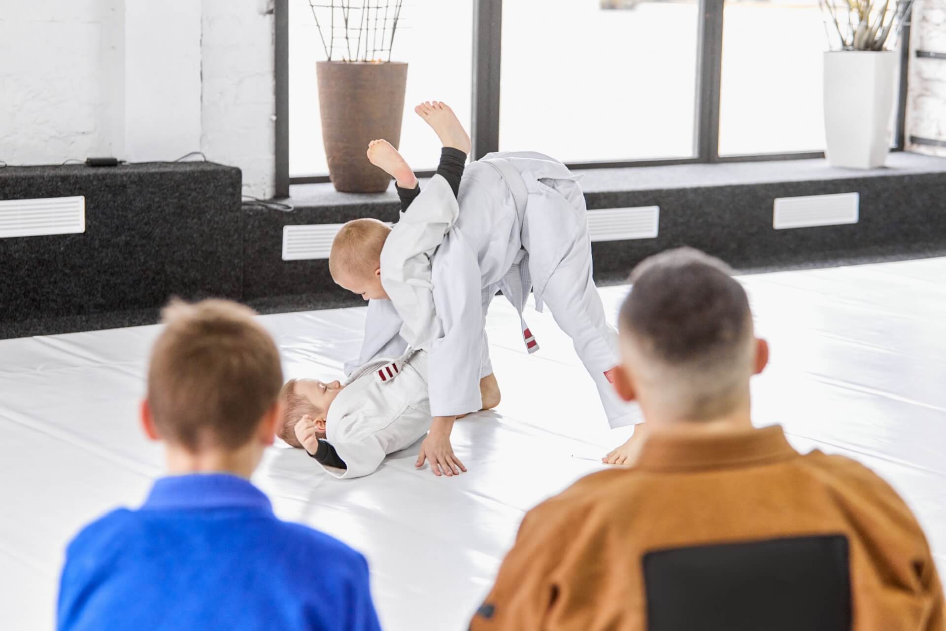 mixed-martial-arts-for-kids-